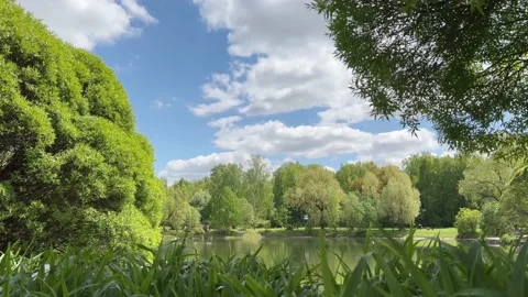 Summer View of a small lake, green trees and blue sky with clouds Stock Footage 234167744