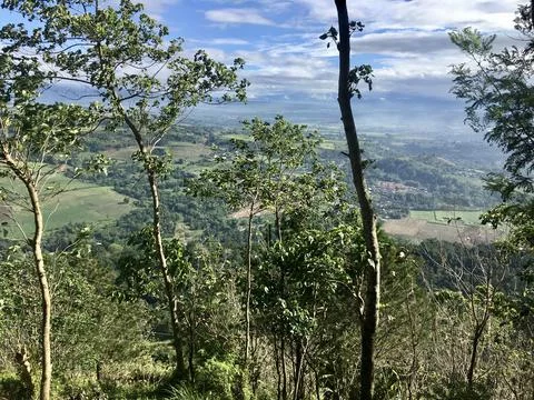 Summer view top mountain Stock Photos