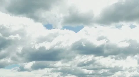 Summer Vineyard Stock Footage 22796192