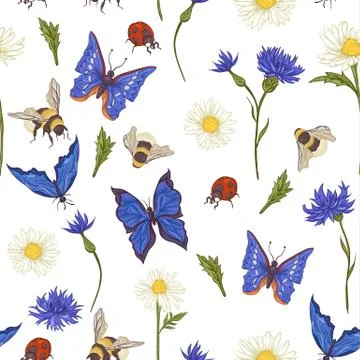 Summer Vintage Seamless Pattern with Blooming Chamomile Stock Illustration