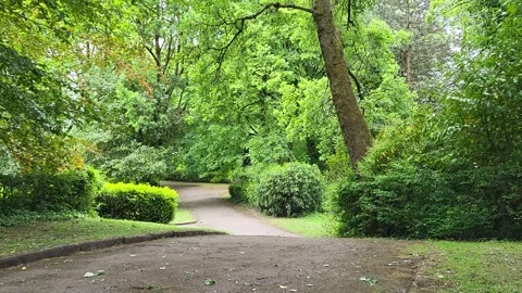 Summer Voices in Park Stock Footage 310109198