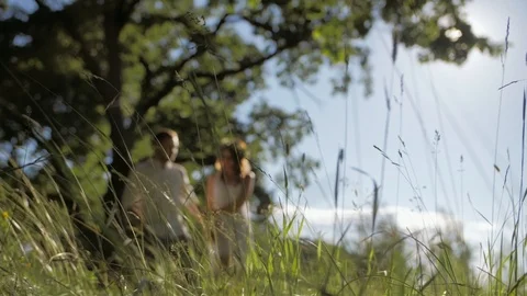 Summer walk Stock Footage 102507635