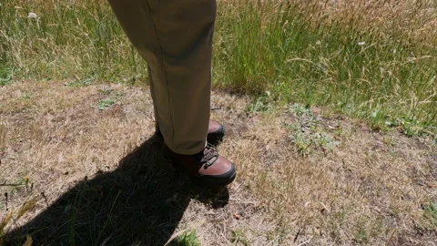 Summer Walk Stock Footage 145321189