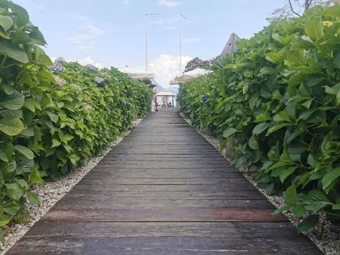 Summer walk Stock Photos