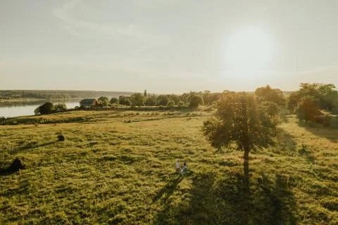 Summer warm sunny field. rays of the sun Stock Photos