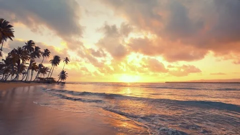 Summer warm sunset on a wild palm beach. Waves on the sand of the sea coast. Stock Footage 309548526