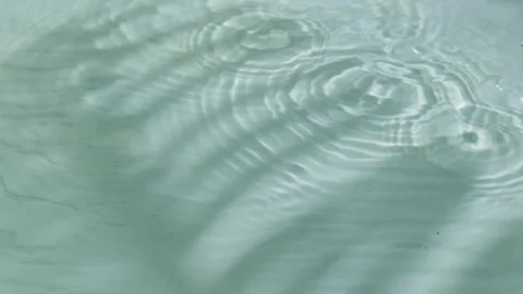 Summer water drops ans leaf background Video stock 274860021