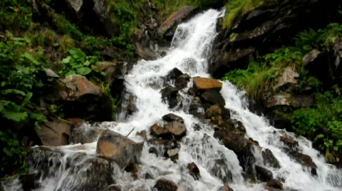 Summer waterfall 動画素材 861412