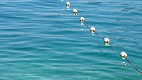 Summer Waterfront Security: White Spherical Buoys Connected by a Rope Floating Video stock 318900629