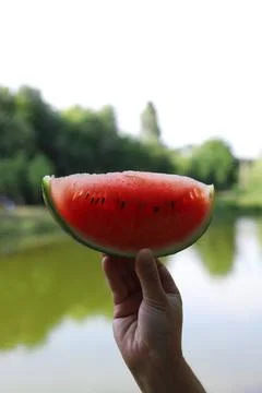 Summer watermelon 1 Stock Photos
