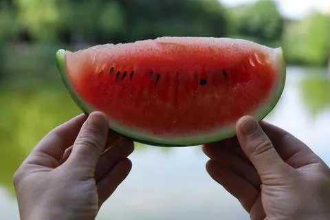 Summer watermelon 2 Stock Photos