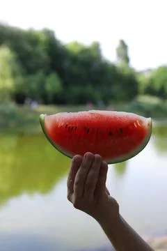 Summer watermelon Stock Photos