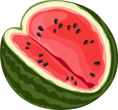 Summer Watermelon on white background. Vector illustration in trendy flat style Stock Illustration