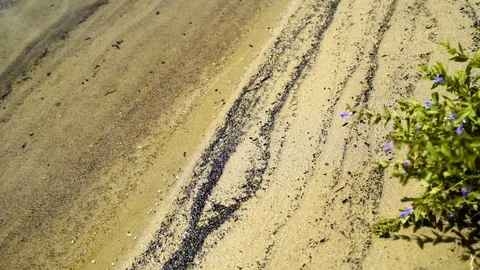 Summer waves on the sand Video stock 94361604