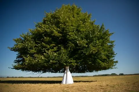 Summer wedding pictures idea - tree instead of a head. Stockfoto's