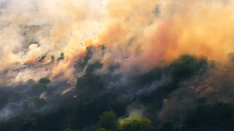 Summer wildfire or fire in nature with smoke, aerial view from drone. Burning Stock Footage 138996809