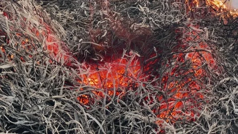 Summer wildfire or fire in nature with smoke. Stock Footage 172180595