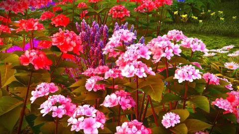 Summer wildflowers on meadow 3d rendering Stock-Illustration