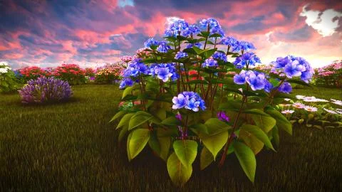 Summer wildflowers on meadow 3d rendering Stock Illustration
