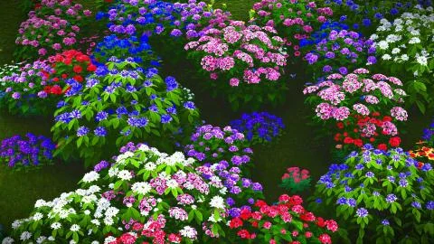 Summer wildflowers on meadow 3d rendering Stock Illustration