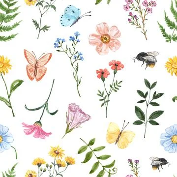 Summer wildflowers seamless pattern on white background. Watercolor print. Stock Illustration