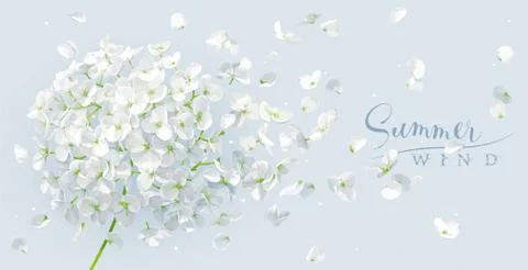 Summer wind vector drawing Stock Illustration