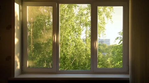 Summer window with tree branches behind Stock Footage 84166202