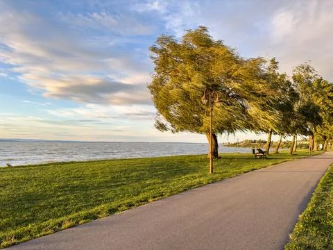 Summer Windy Landscape	 Stock Photos