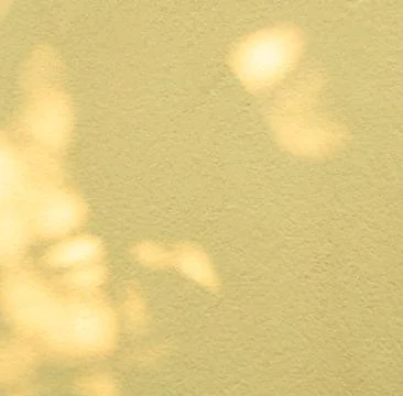 Summer Yellow Background Shadow Texture Leaf Summer Autumn Wall Light Foto stock