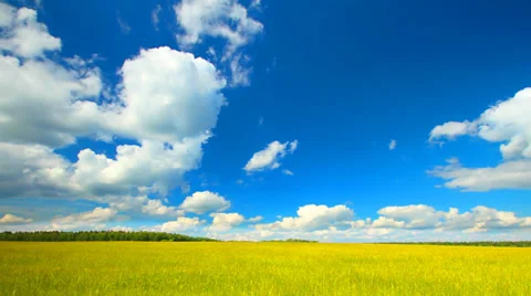 Summer yellow field landscape with clouds running across the sky, time-lapse. Stock Footage