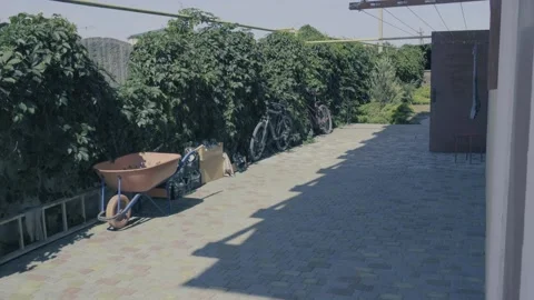 Summer5 Stock Footage 138923255