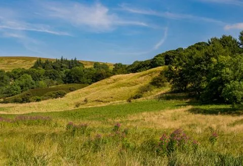 Summers day at Malham Stock Photos