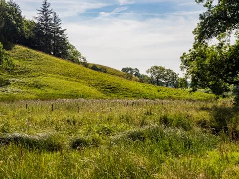Summers day at Malham Stock Photos