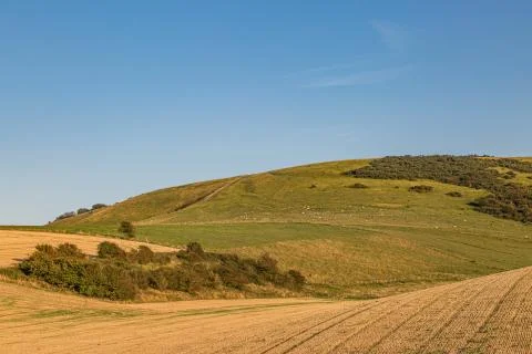 A Summers Evening in the South Downs Stock Photos