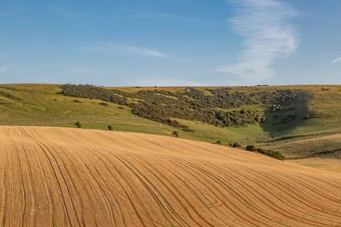 A Summers Evening in the South Downs Stock Photos