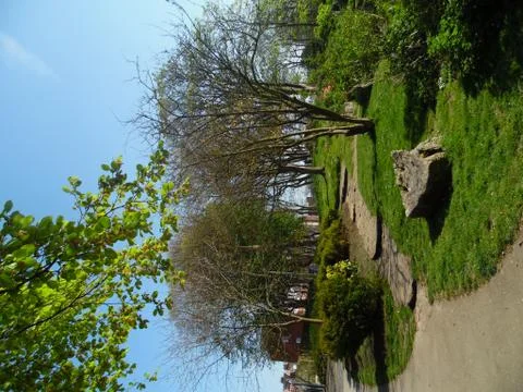 On a Summers Way 스톡 사진