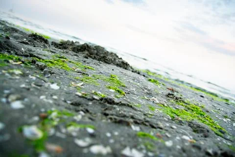 Summertime at the beach. Foto stock