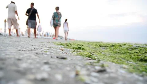 Summertime at the beach. 스톡 사진