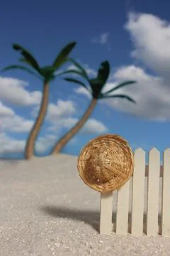Summertime Beach Scene With Shells and Palm Trees Shallow DOF Stock Photos