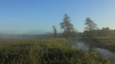 Summertime at dawn Stock Footage 51236566