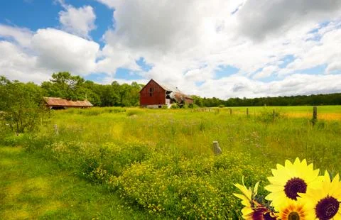 Summertime on the farm. Stock Photos