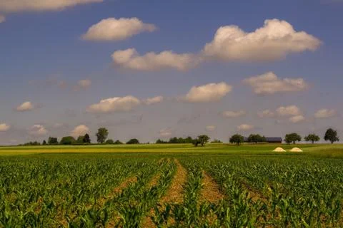 Summertime in Germany Stock Photos