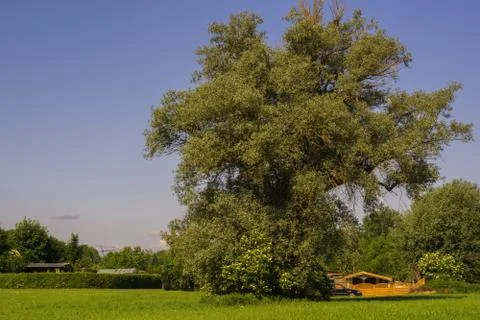 Summertime in Germany Stock Photos