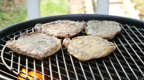 Summertime Home Barbecue Stock Footage 51828740