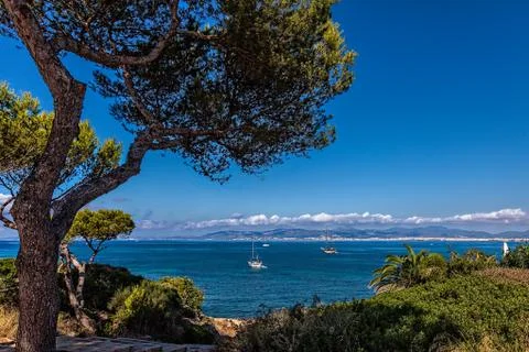 Summertime in majorca Stock Photos