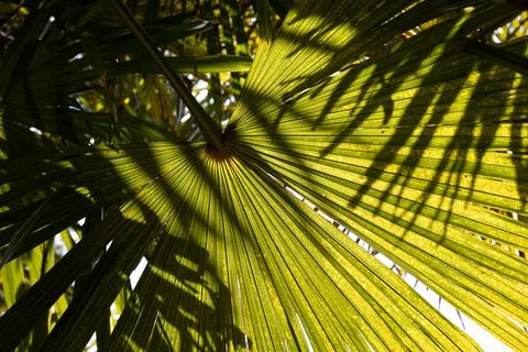 Summertime. Foto stock