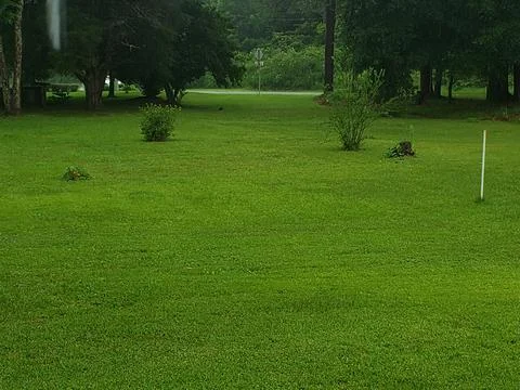 Summertime Rain Stock Photos