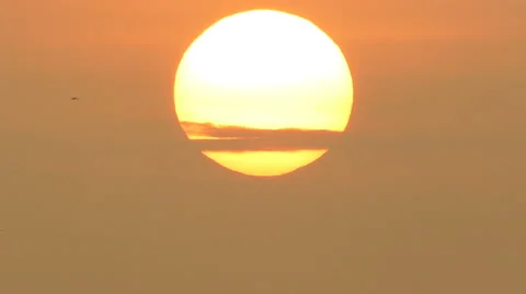 Summertime, Slow motion. Seagulls flying into the sky towards the sun. Stock Footage 68663316