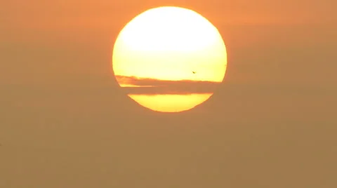 Summertime, Slow motion. Seagulls flying into the sky towards the sun. Stock Footage 68668300