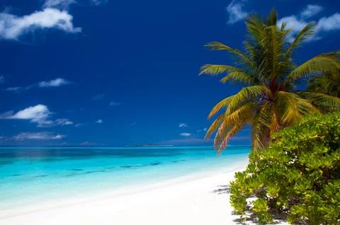 Summertime at a tropical beach Stock Photos